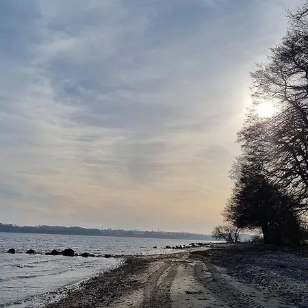 4 Person In Hejls-by Traum